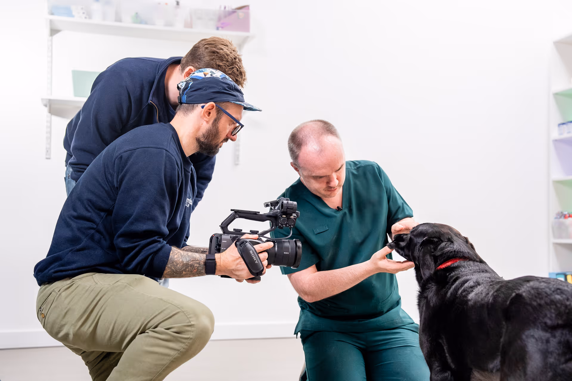 A veterinarian and photographers train and photograph a black dog.