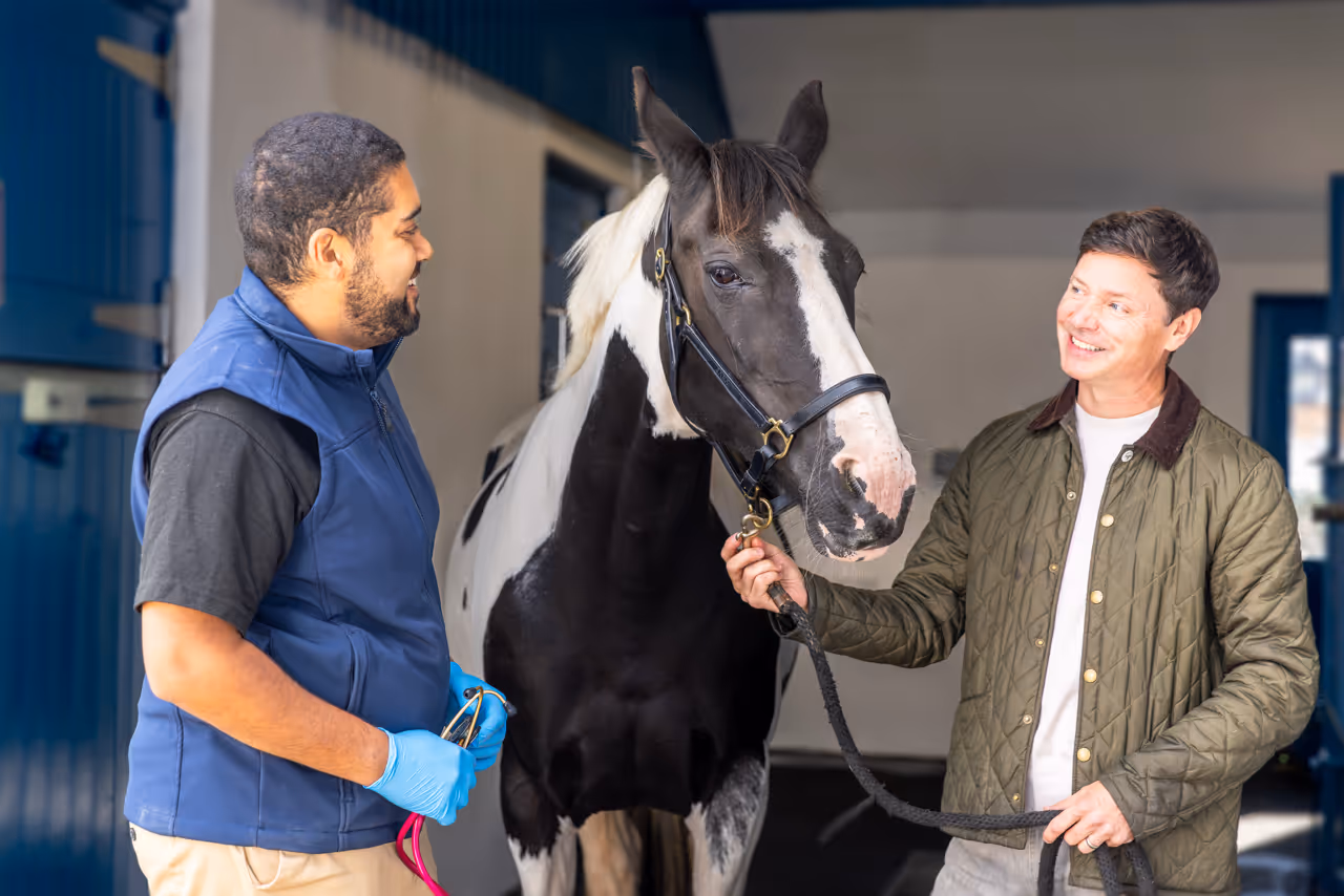 Veterinary staff guiding a horse through a stable corridor