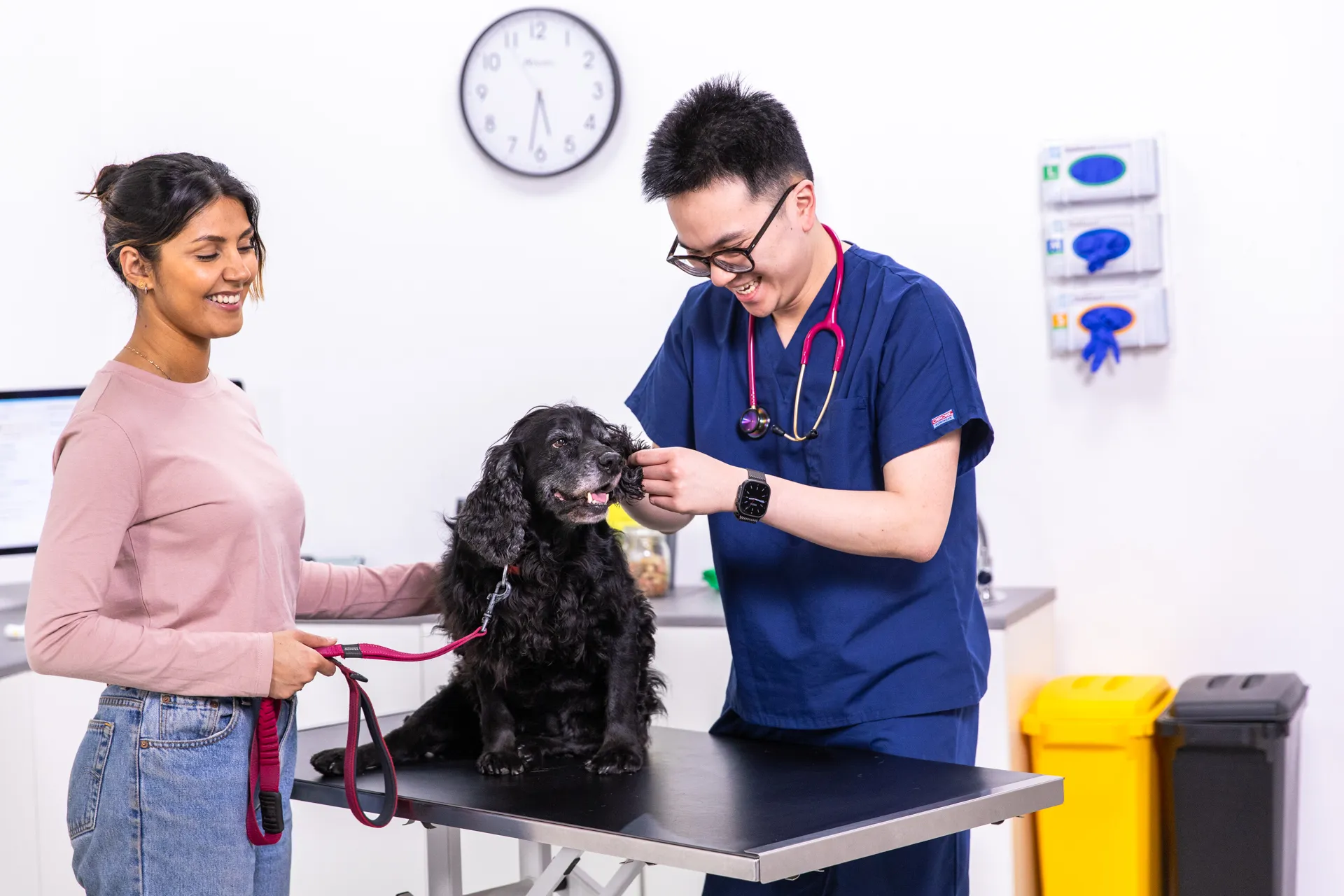 Veterinarian in blue scrubs examining a black dog on an exam table while smiling woman holds the dog’s leash in a veterinary clinic.