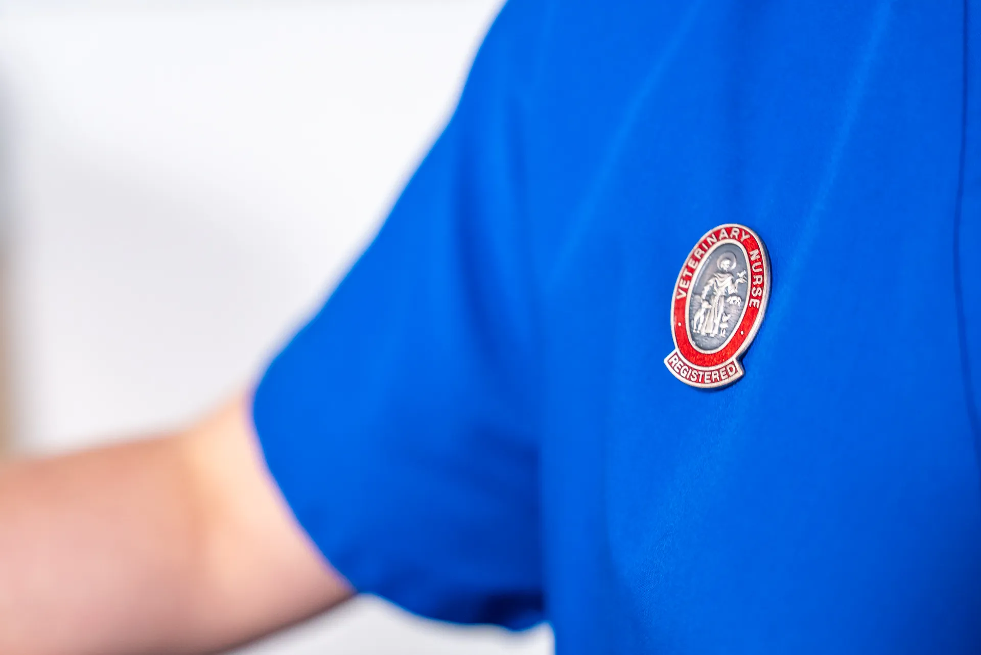 Close-up of a blue uniform with a registered veterinary nurse badge pinned on the chest.