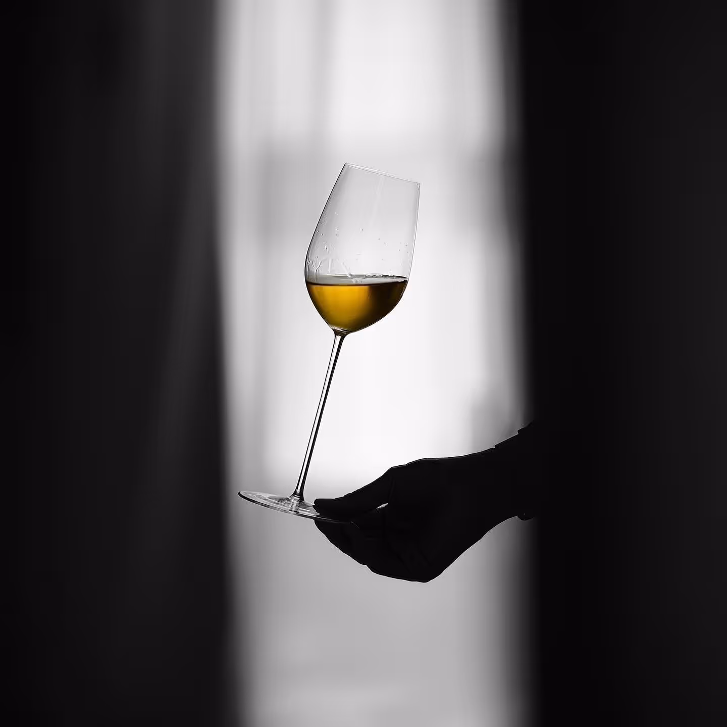 Wine Glass filled with white wine.