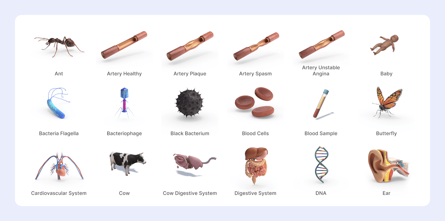 Biology selected, showing organ systems, DNA, and cell models