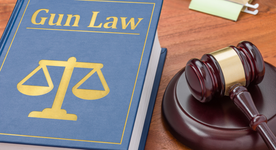 gun law book and gavel