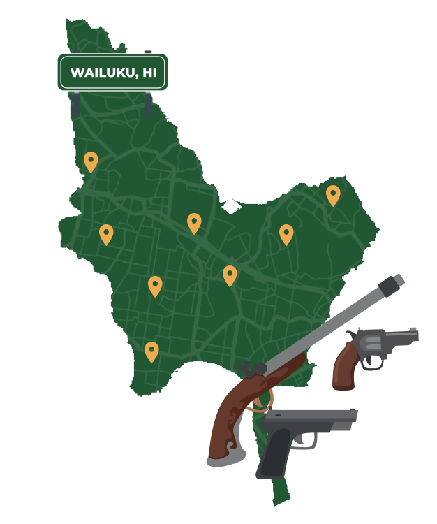 Picture of Wailuku, Hawaii City Map with Wailuku sign on it and places that we buy guns from.