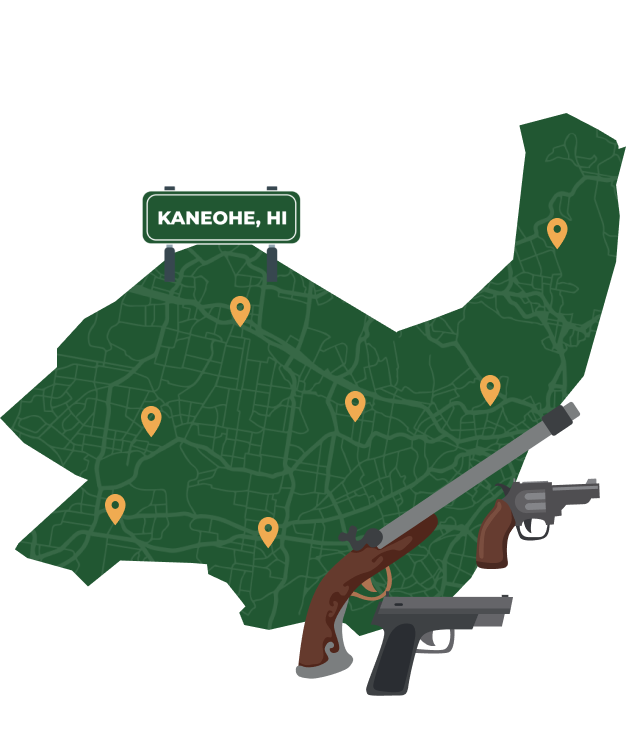 Picture of Kaneohe, Hawaii City Map with Kaneohe sign on it and places that we buy guns from.