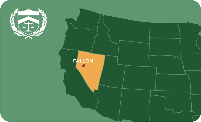 State map with Fallon, Nevada highlighted, showing that Cash for Arms purchases guns in Fallon