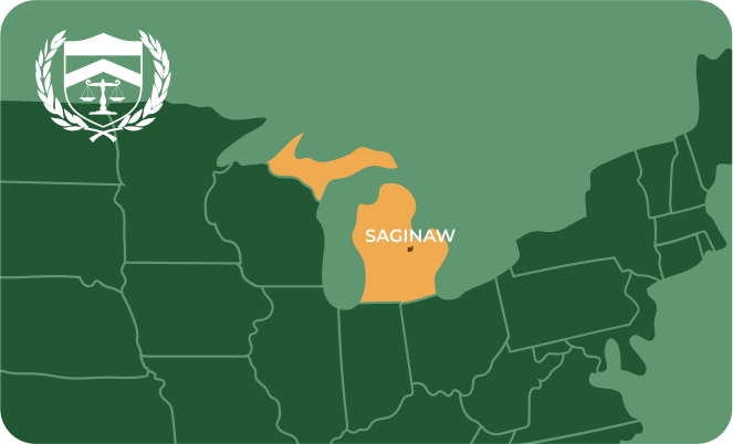 State map with Saginaw, Michigan highlighted, showing that Cash for Arms purchases guns in Saginaw