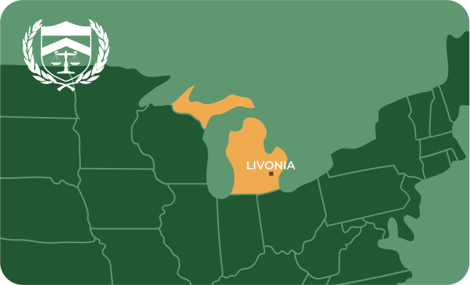 State map with Livonia, Michigan highlighted, showing that Cash for Arms purchases guns in Livonia