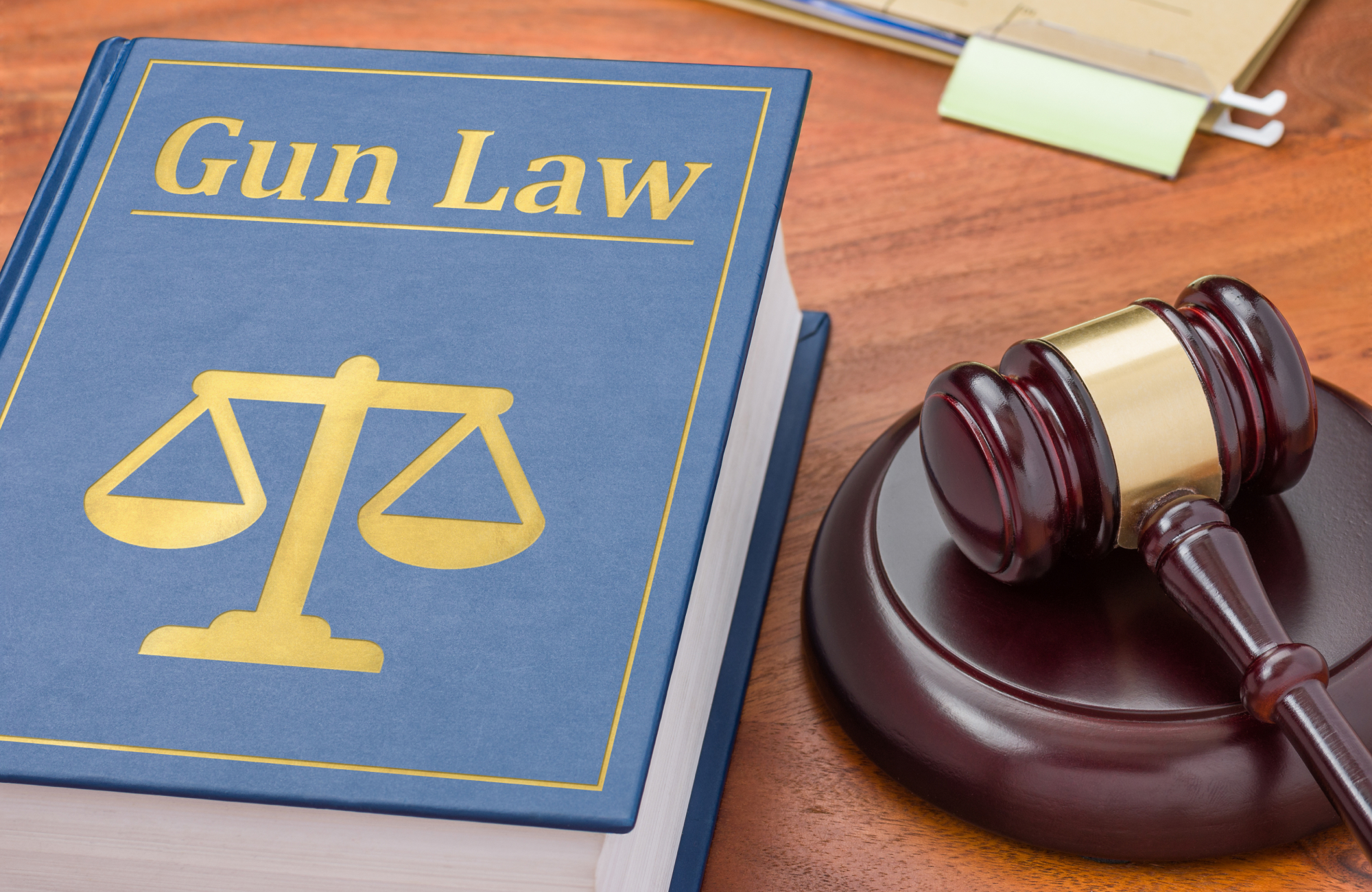 gun law book