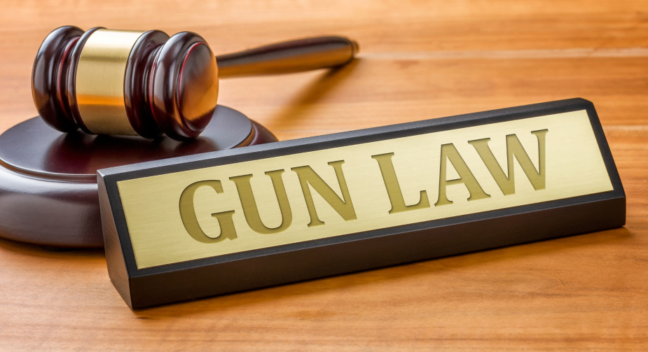 gavel and gun law