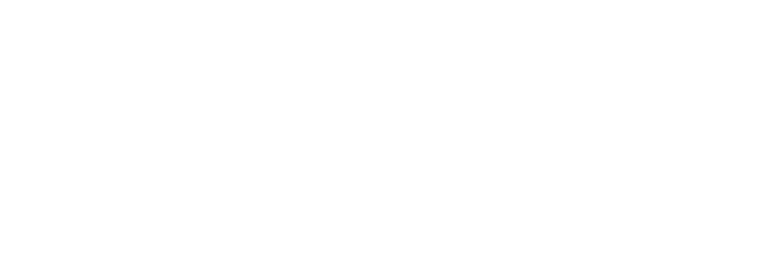 Timeline indicating the branding processac
