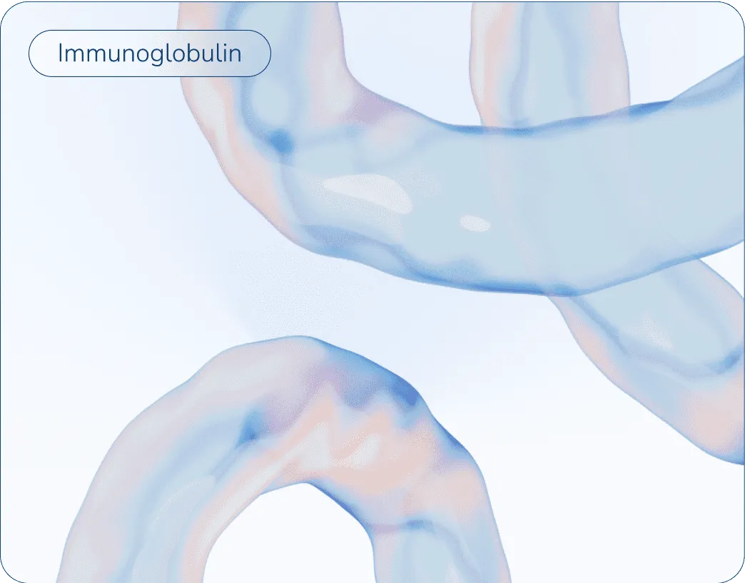 3D shapes of immunoglobulins.