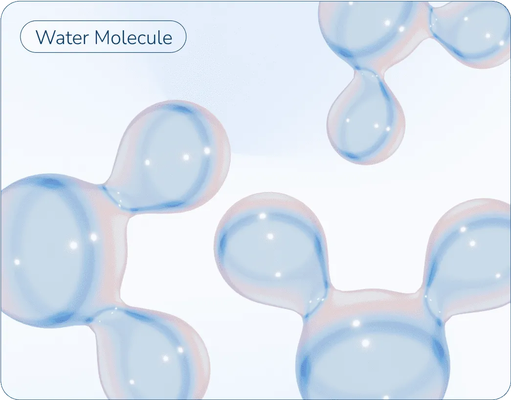 3D shapes of water molecules.
