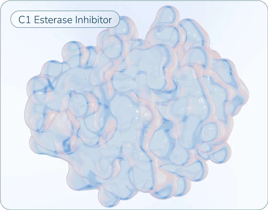 3D shapes of C1 esterase inhibitor.
