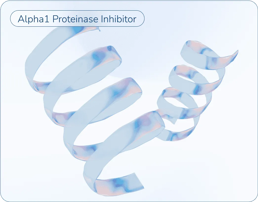 3D shapes of alpha1 proteinase inhibitor.