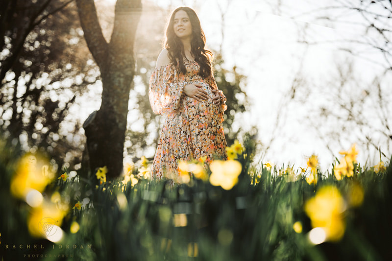 Maternity Photograph in Bay of Islands Northland New Zealand