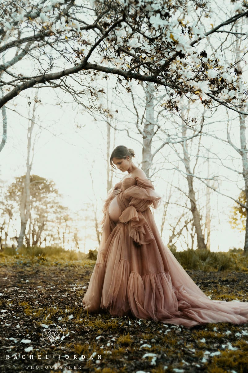 Maternity Photograph in Bay of Islands Northland New Zealand