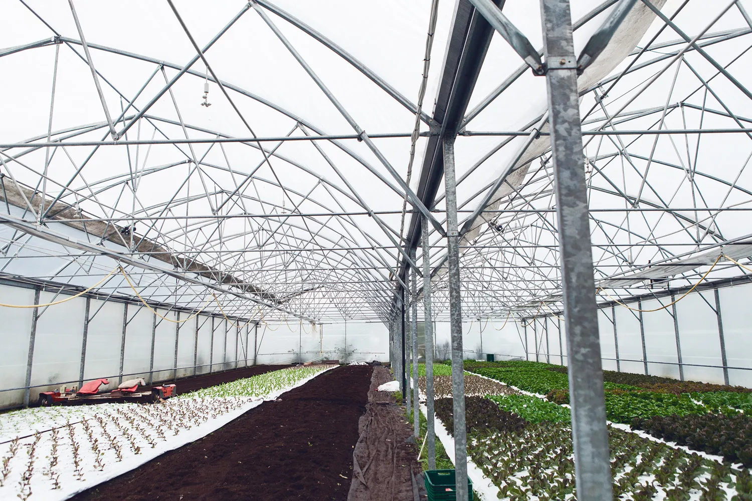 Fresh soil inside the Ahlberg greenhouse 