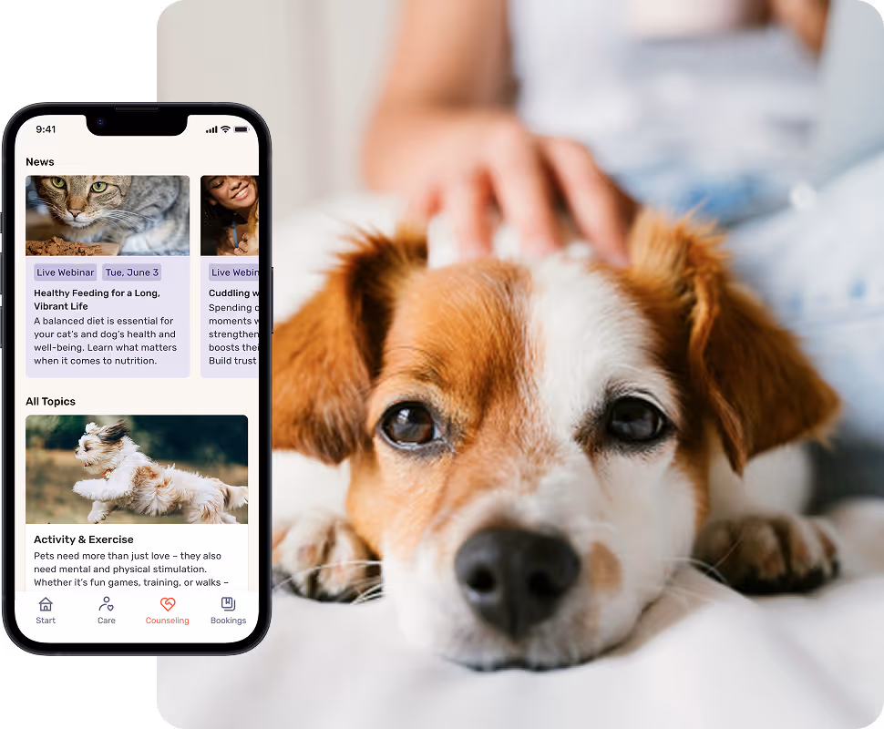 A brown and white dog is stroked. The HeyCare app can also be seen on a smartphone.