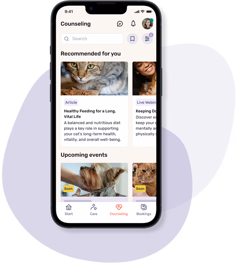Smartphone with an open app in the “Advice” section. Recommendations such as an article on healthy cat feeding and a webinar on keeping dogs busy are visible. Upcoming events with animals, such as grooming, are displayed below.