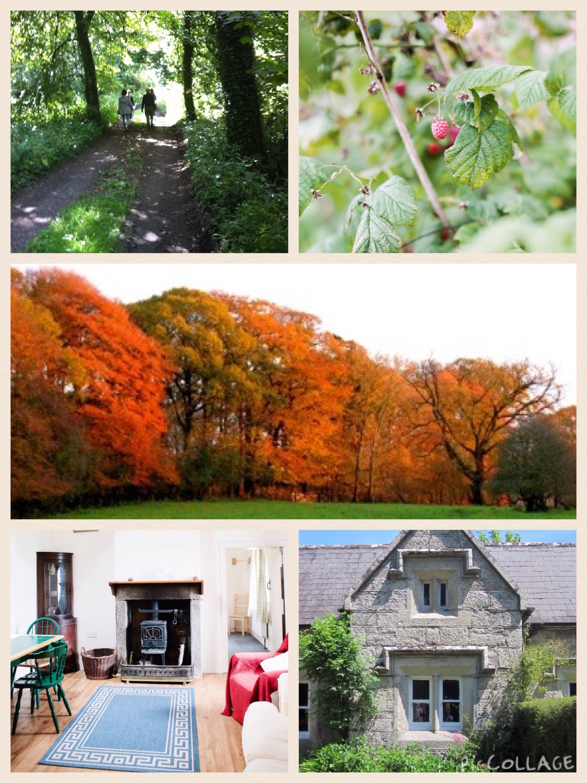 Airbnb