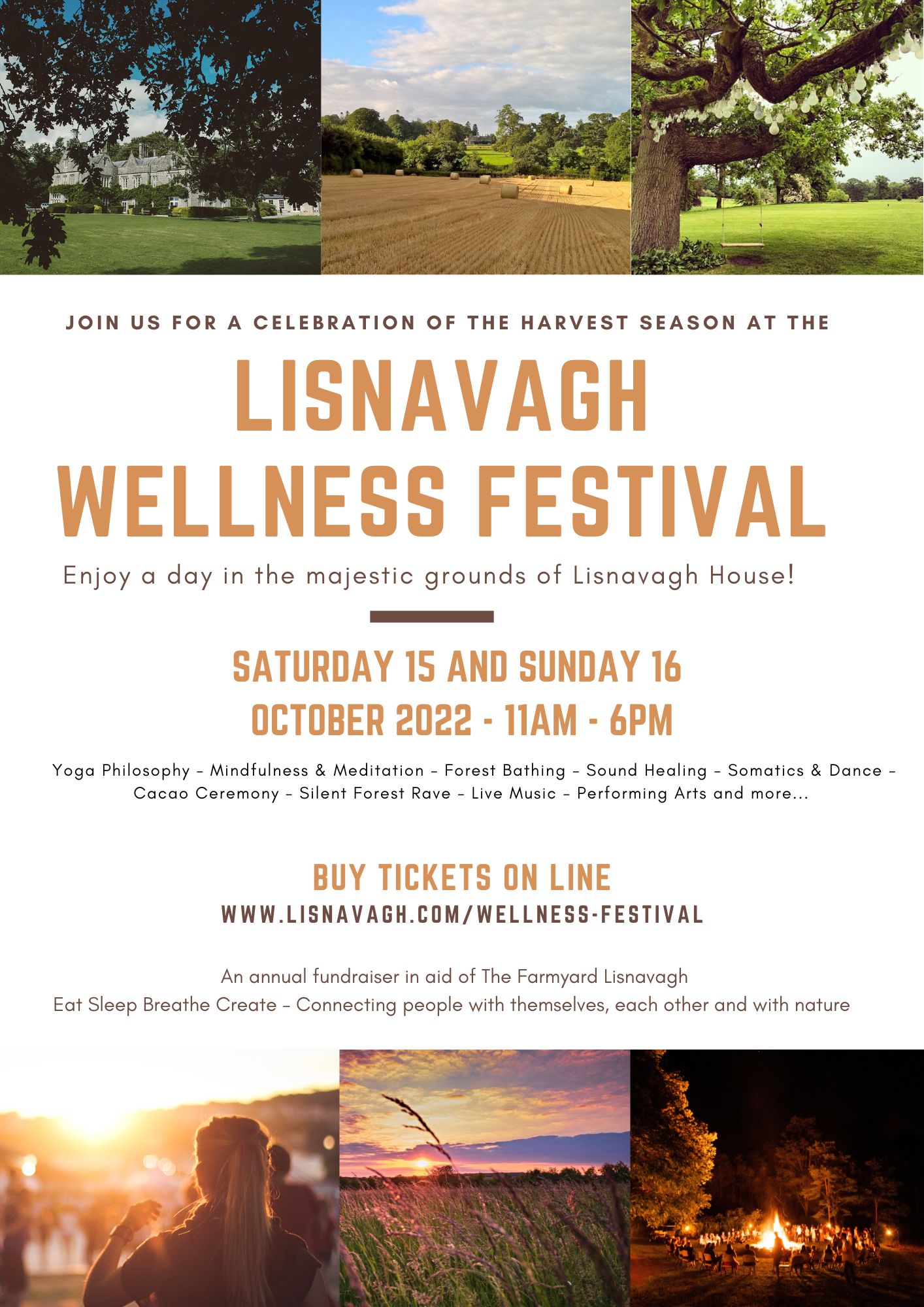 LISNAVAGH WELLNESS FESTIVAL
