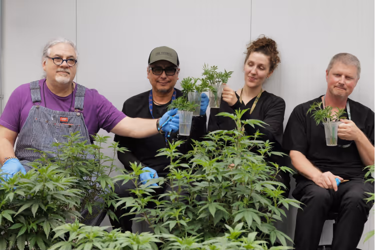 Three men and a woman sitting behind a garden of cannabis plants while smiling and holding cannabis clones in the Veg room at The Source in Rogers, Arkansas.