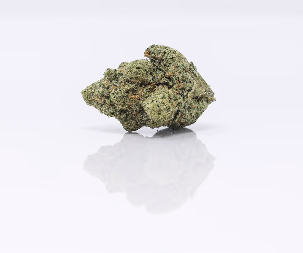 A Sumo Grande cannabis flower bud photographed on a white background with reflection. The dense, sativa-dominant bud showcases its characteristic large size and vibrant green coloration, with visible trichome coverage. The image is professionally lit in a minimalist style, highlighting BOLD Team's premium cultivation.