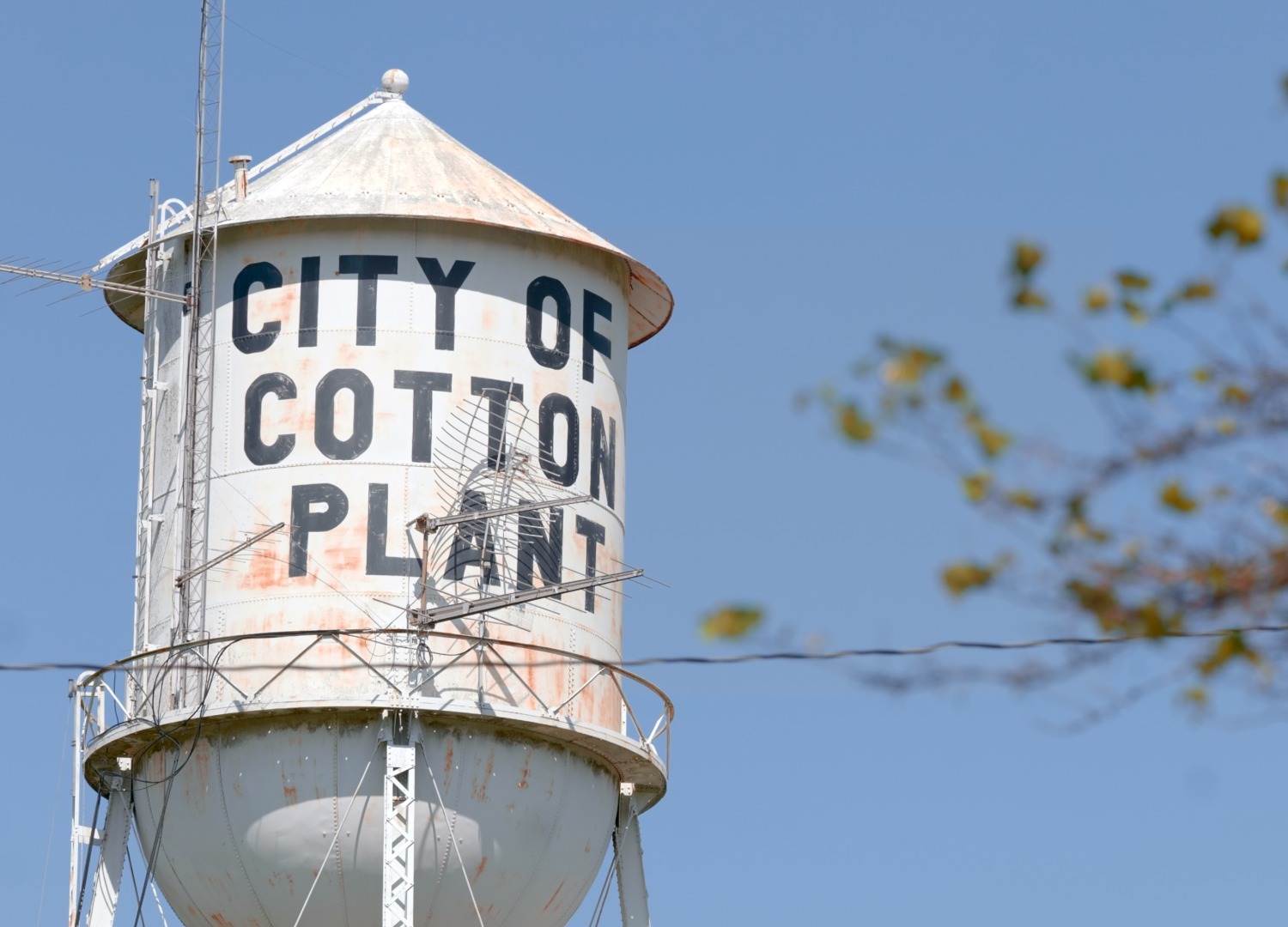 Cotton Plant Arkansas water tower landmark in historic Delta town where BOLD Cannabis serves as primary employer.