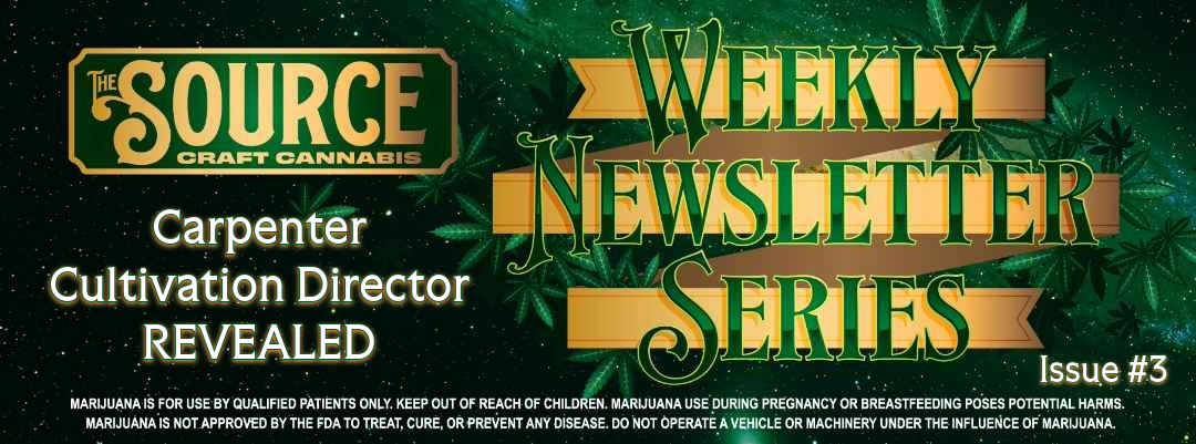 The Source Craft Cannabis Weekly Newsletter Series Issue #3 header featuring Carpenter Cultivation Director Revealed with green cannabis leaf background and gold banner design.