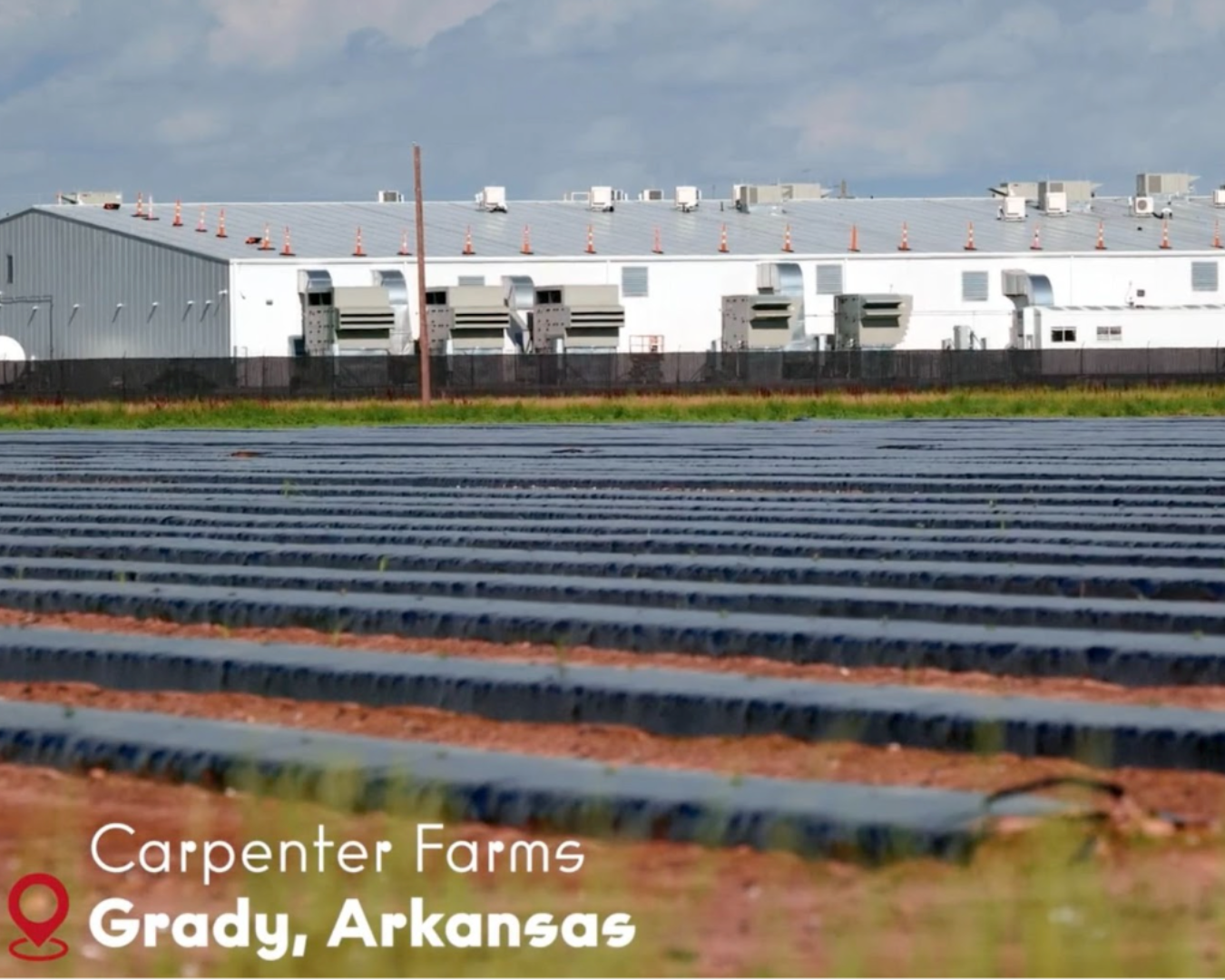 Carpenter Farms cannabis cultivation facility exterior in Grady, Arkansas, featuring state-of-the-art climate-controlled building and agricultural field.