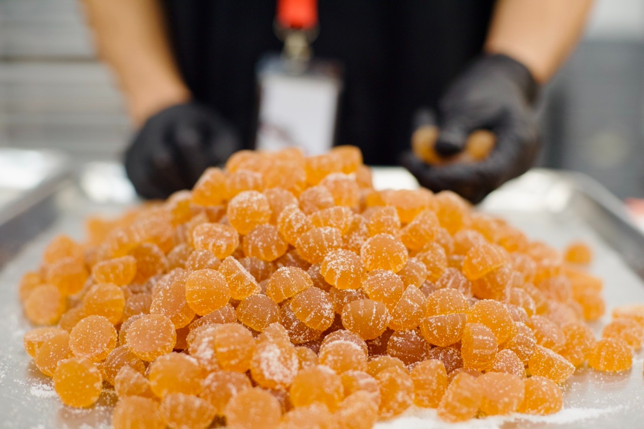 Gloved hands preparing golden cannabis gummies for The Source Apothecary house brand production.