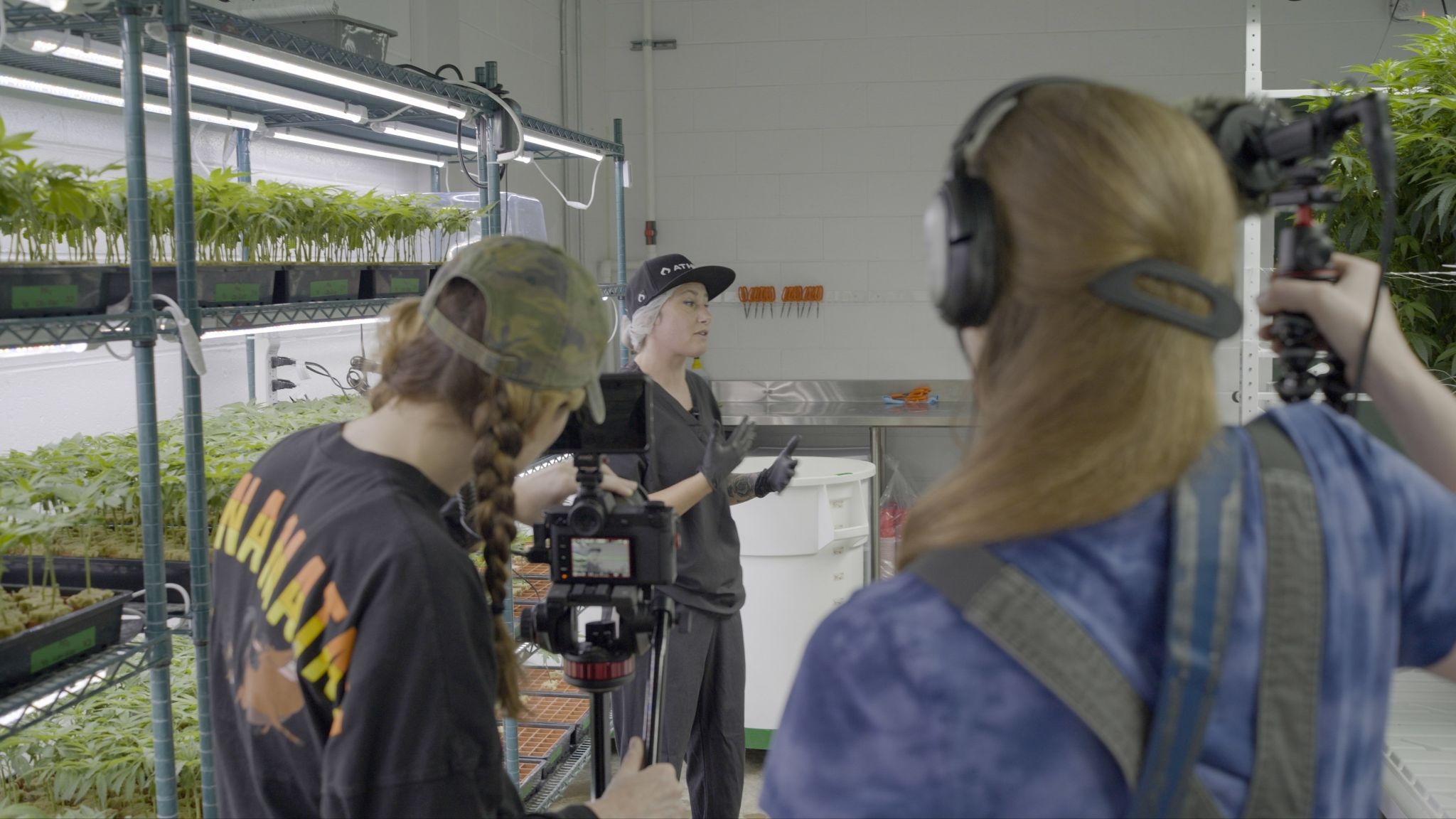 Documentary film crew with camera equipment filming inside Arkansas cannabis cultivation facility with rows of marijuana plants under grow lights