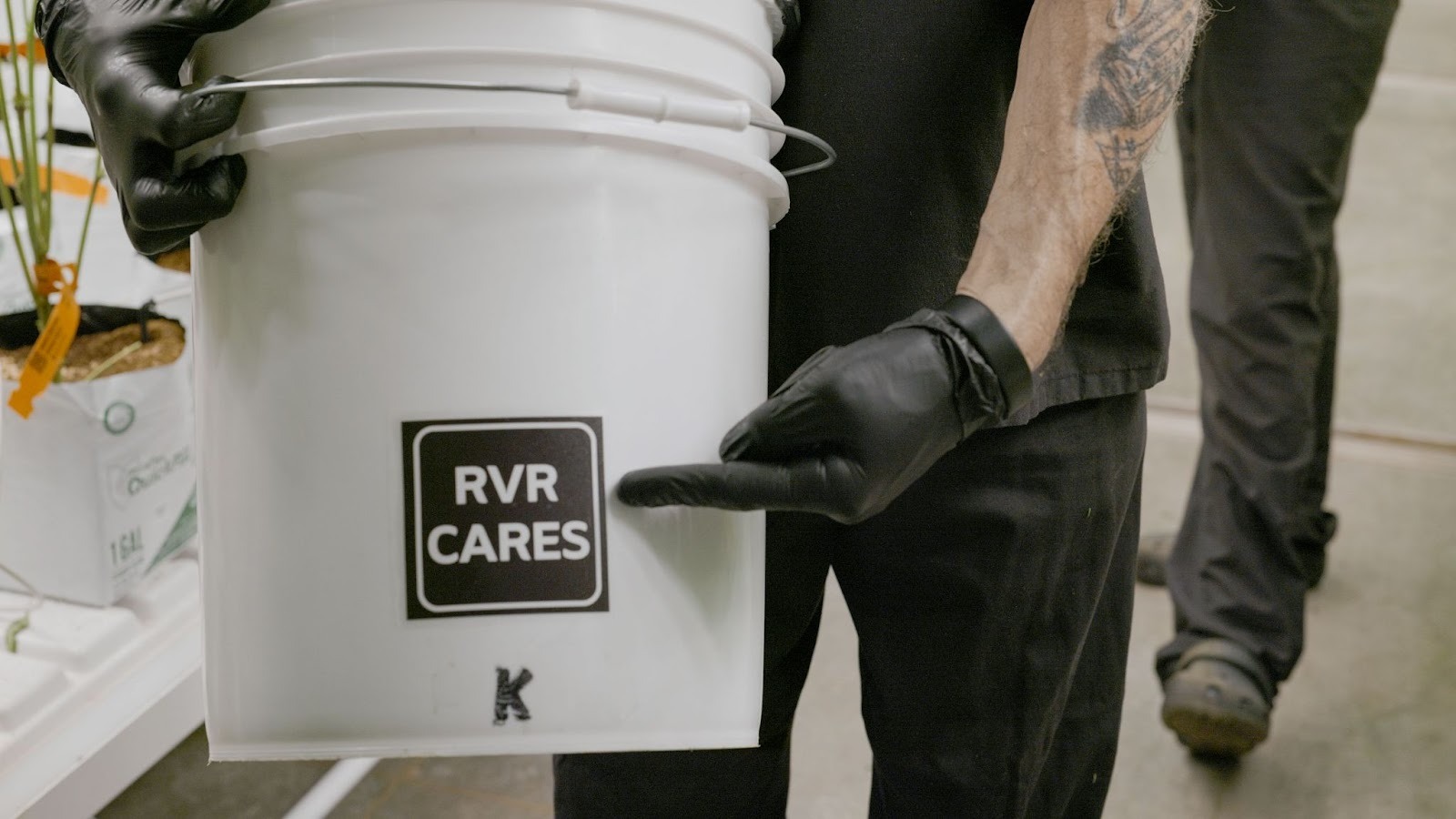 Gloved hands holding white bucket labeled 'RVR Cares' at River Valley Relief cannabis facility.