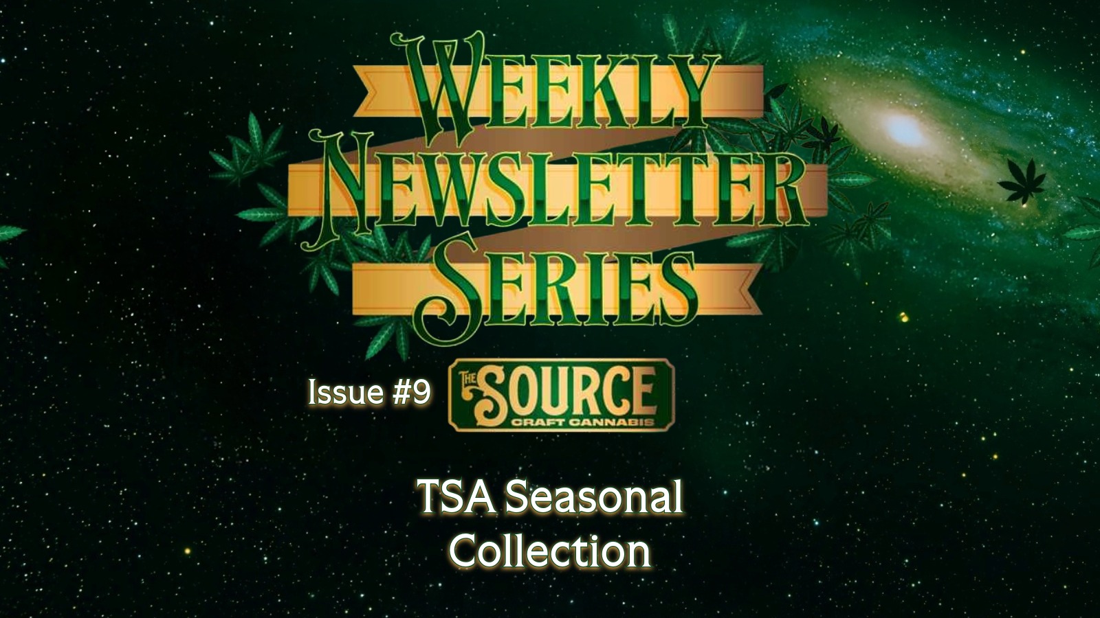 The Source Craft Cannabis Weekly Newsletter Series Issue #9 header featuring TSA Seasonal Collection with green cannabis leaf background and gold banner design.
