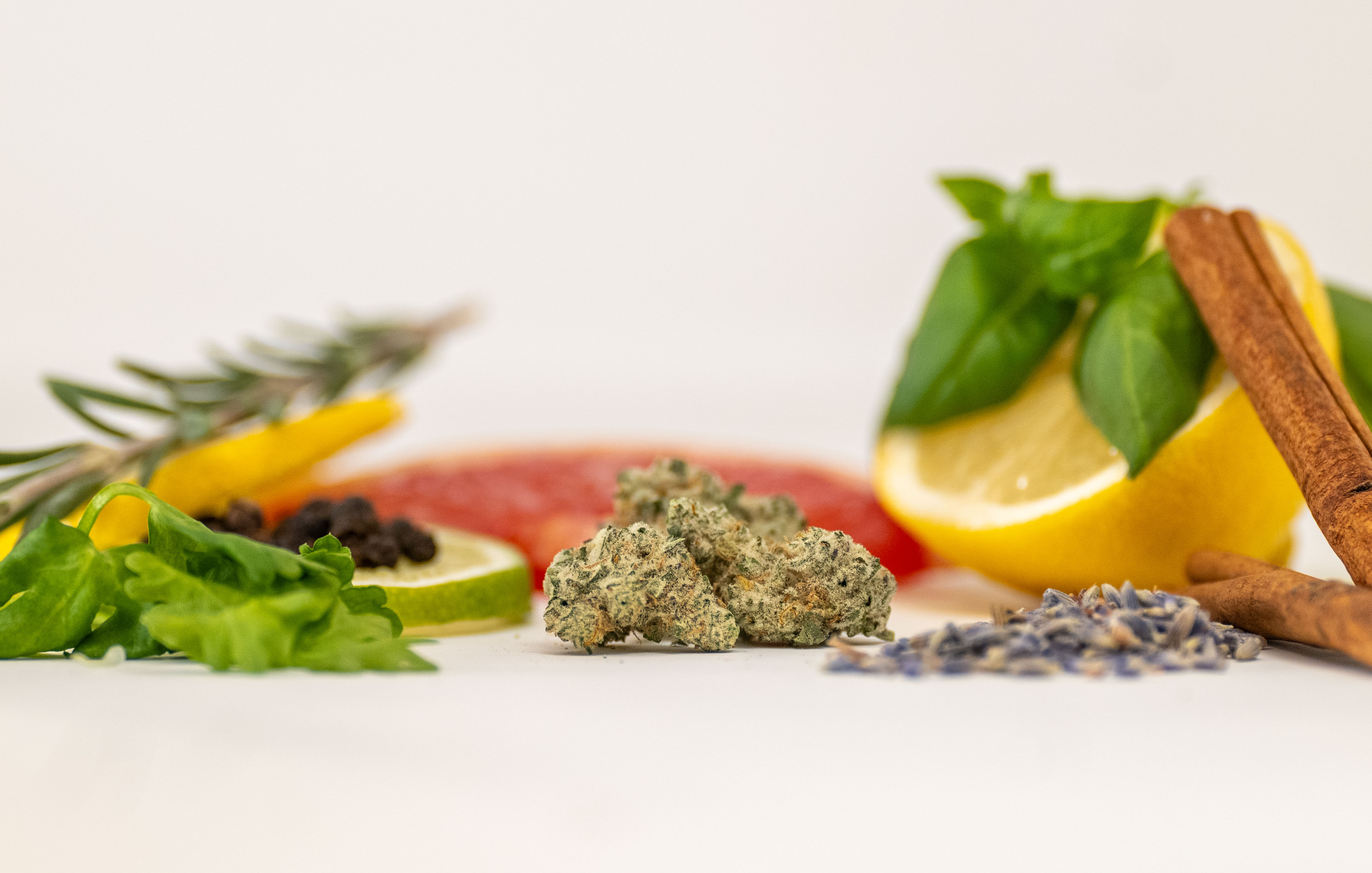 MAC 1 cannabis flower by River Valley Relief, displayed with fresh citrus slices, aromatic herbs including rosemary and basil, cinnamon sticks, and dried lavender buds against a clean white background, showcasing the strain's terpene profile companions