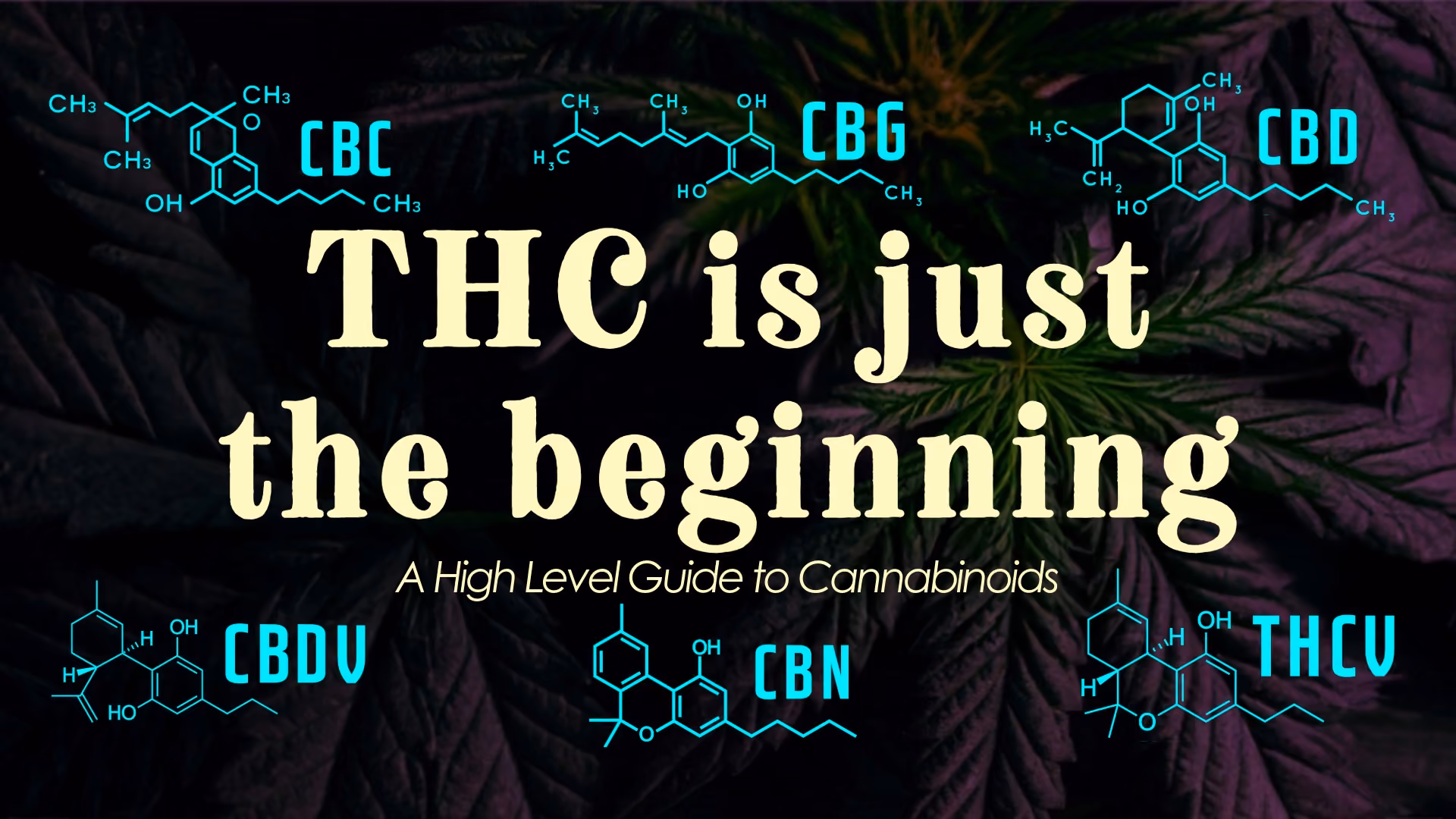 “THC Is Just the Beginning” blog banner from The Source Dispensary & Apothecary featuring CBD, CBC, CBN, CBG, THC-V, and CBD-V cannabinoid molecules over a cannabis leaf background.