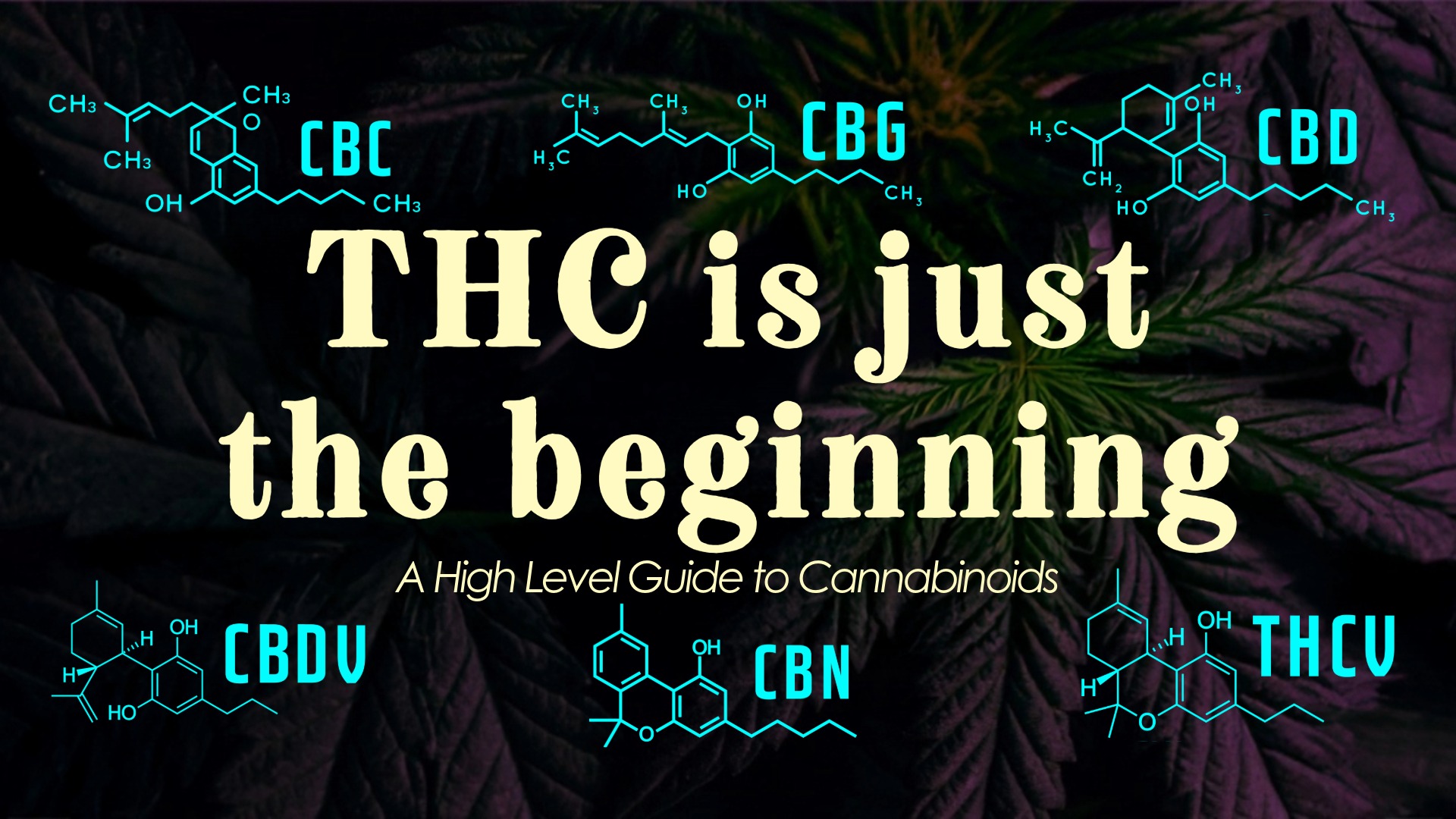 “THC Is Just the Beginning” blog banner from The Source Dispensary & Apothecary featuring CBD, CBC, CBN, CBG, THC-V, and CBD-V cannabinoid molecules over a cannabis leaf background.