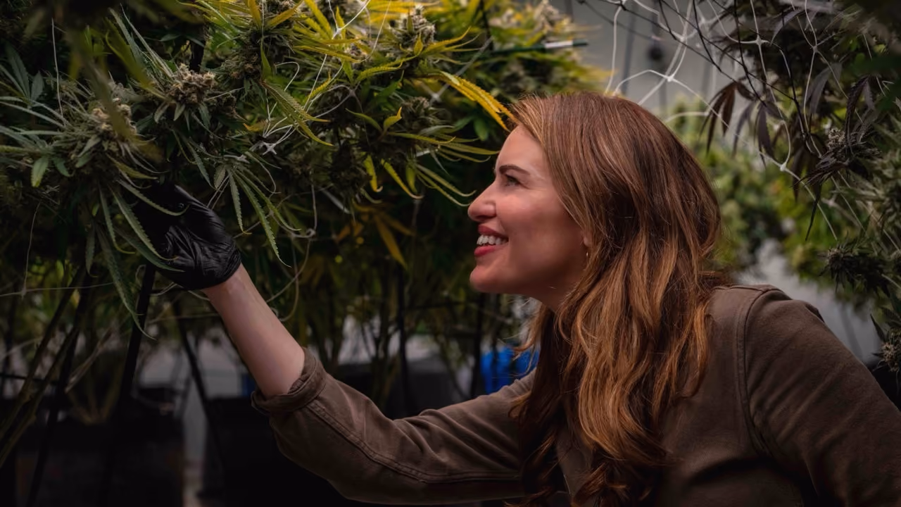Amanda Strickland, CEO of The Source Cannabis, inspecting plants in the dispensary's boutique grow in Rogers, Arkansas.