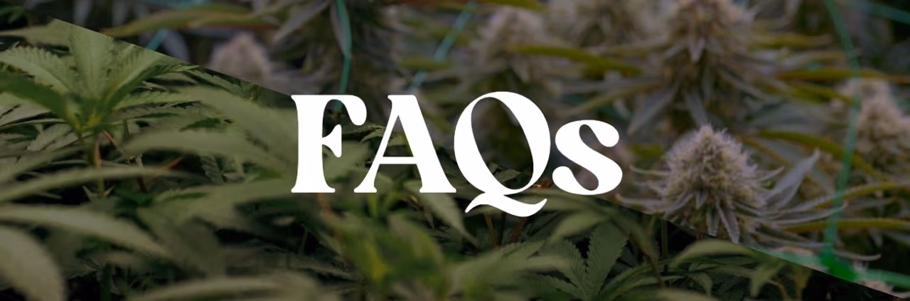 FAQs section header with cannabis plants in background.