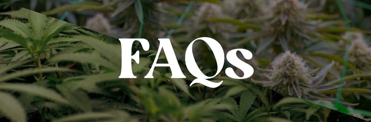 FAQs section header with cannabis plants in background.