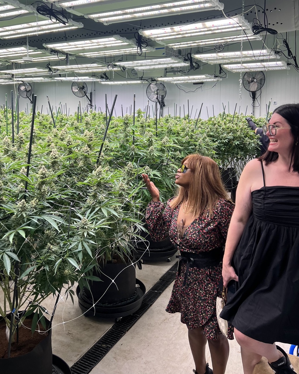 Rochelle Bradshaw reaching out to touch a flowering cannabis plant while Amanda Apple looks on, walking together through rows of tall plants in The Source's grow facility.