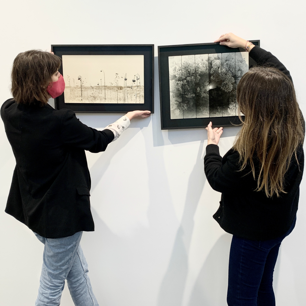 Image galerie 4