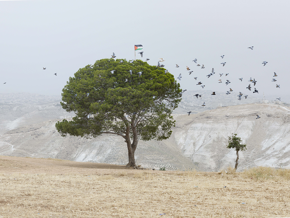 Environs de Bethléem, Cisjordanie, 2014