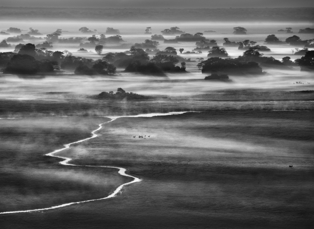 Kafue National Park, Zambia, 2010
