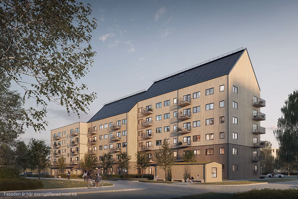 Klimatpilot i Selma stad