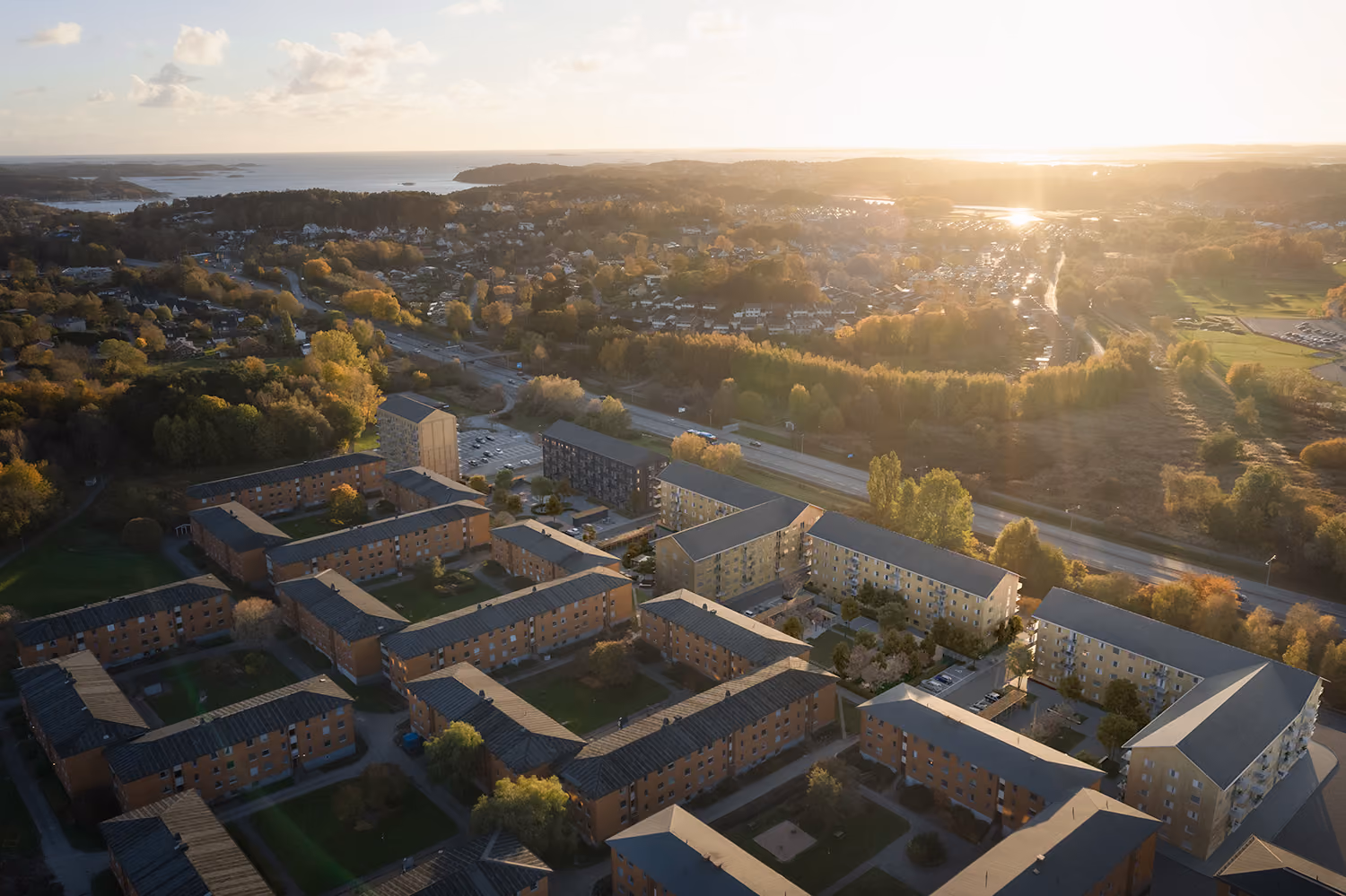 Fler hyresrätter i Trägården