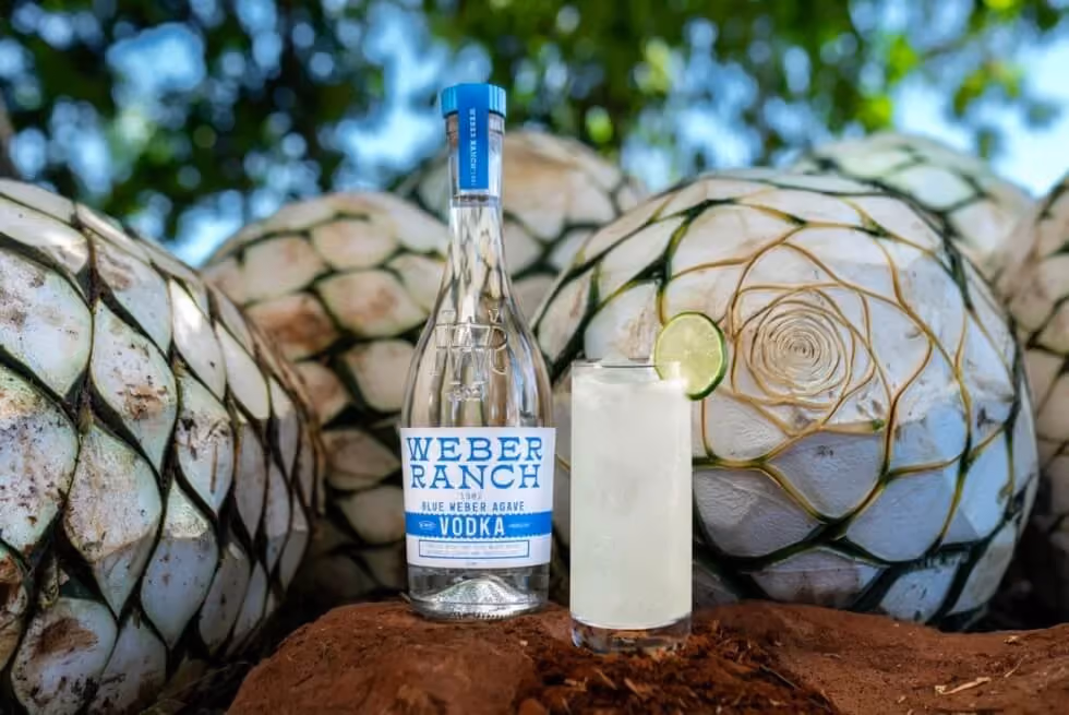 Vodka gjord på agave