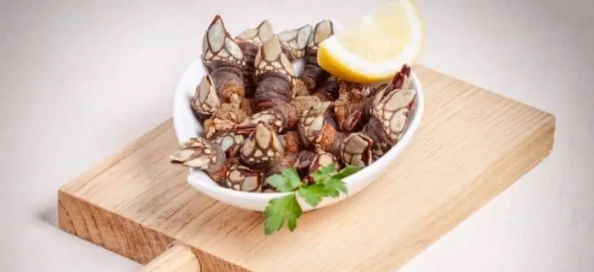 Långhalsar (pollicipes cornucopia)