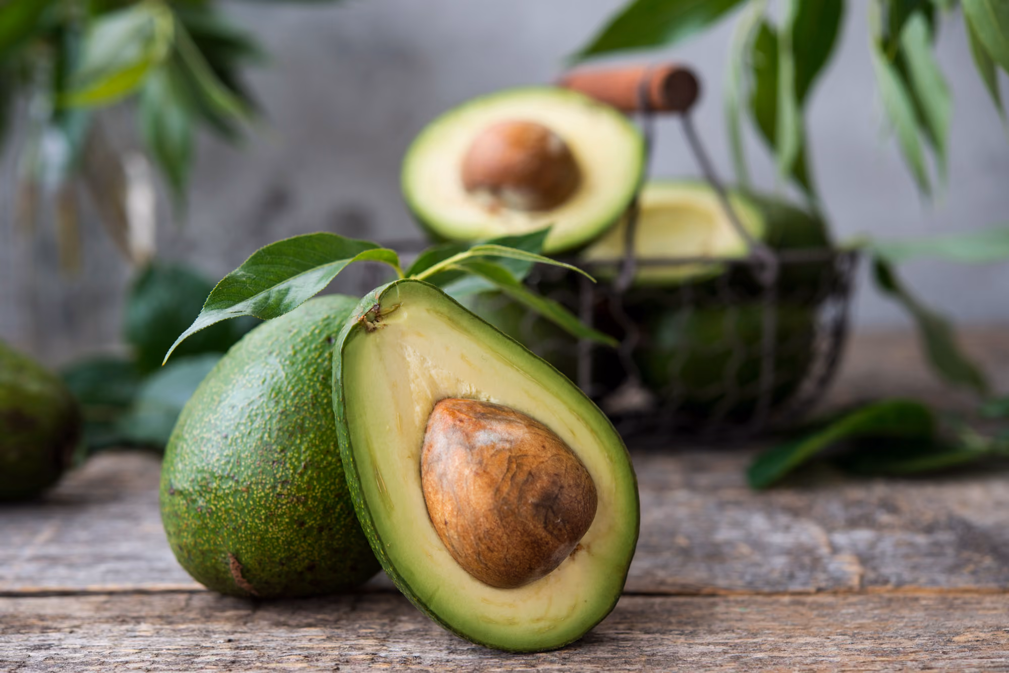 Avokado